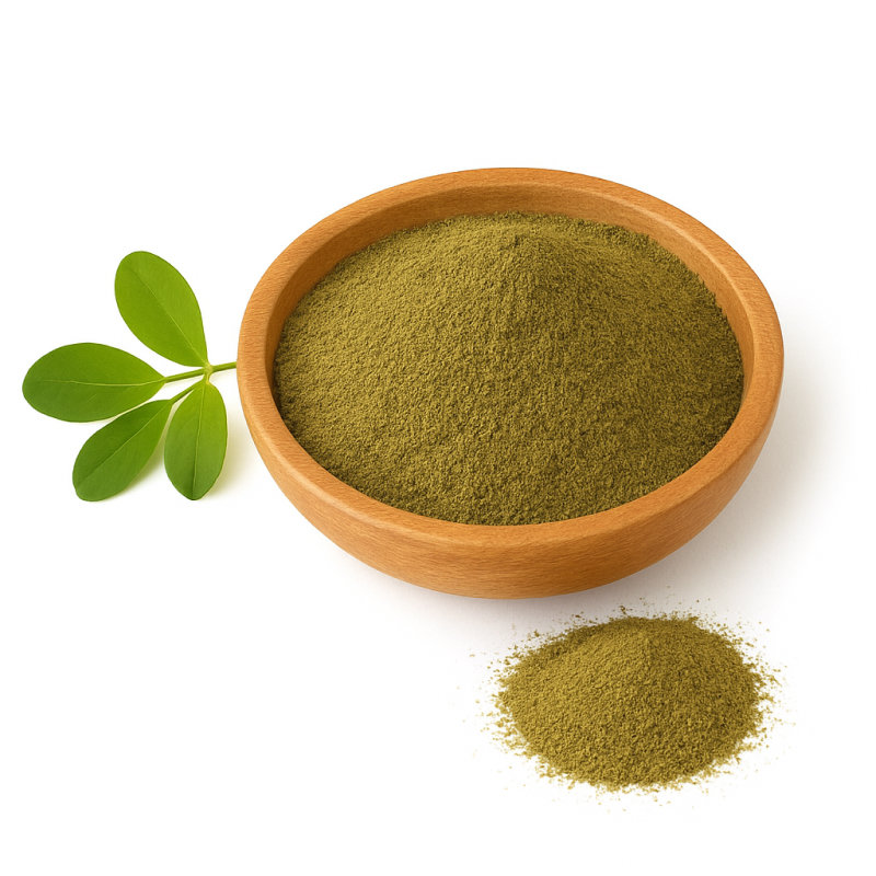 Alfalfa Herbal Powder – Medicago sativa