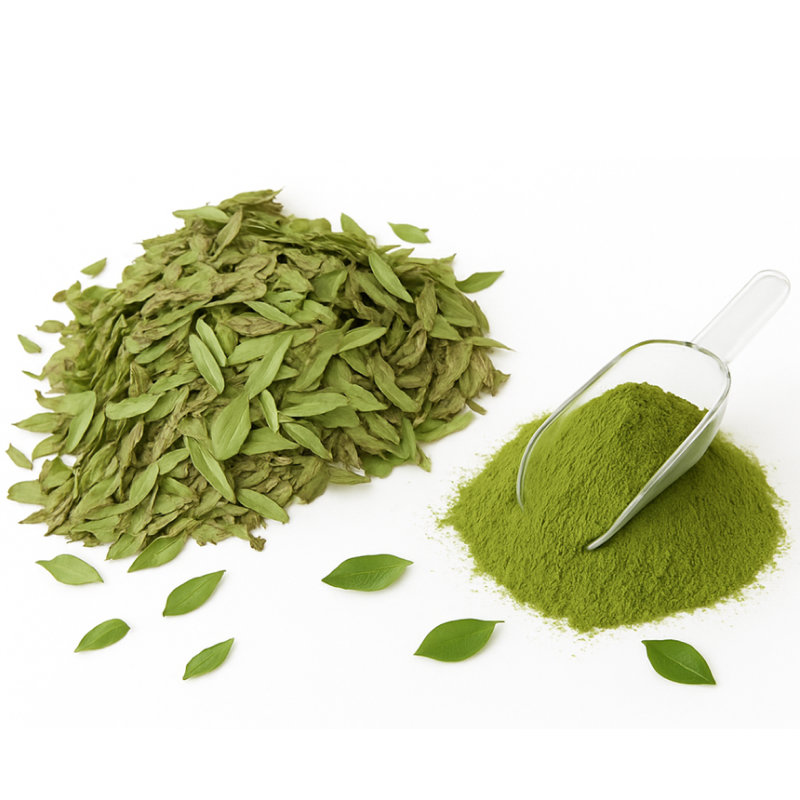 Senna Leaves – Natural Herbal