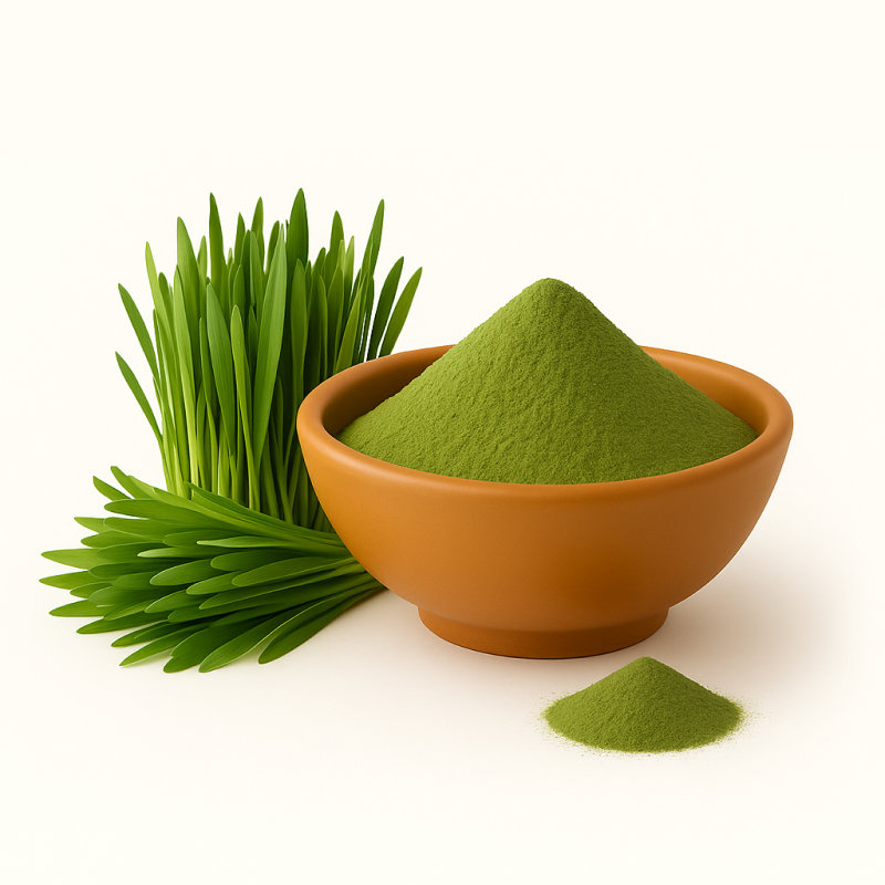 Wheat Grass – Natural Herbal