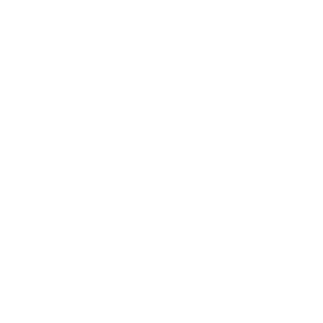 Custom Branding and Packaging icon