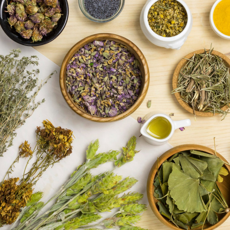 Ayurveda herbal treatment